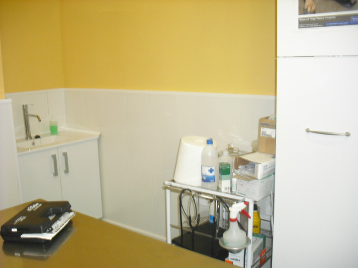 consulta veterinaria