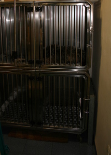 Hospitalización de la clínica veterinaria La Urba