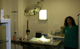 Mesa de operaciones de la Clínica Veterinaria La Urba